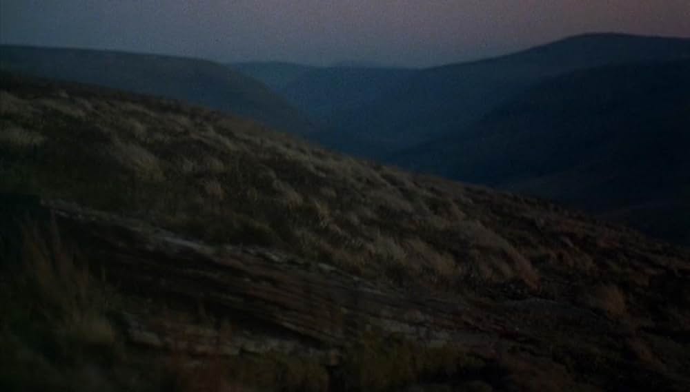 狼男アメリカンの画像