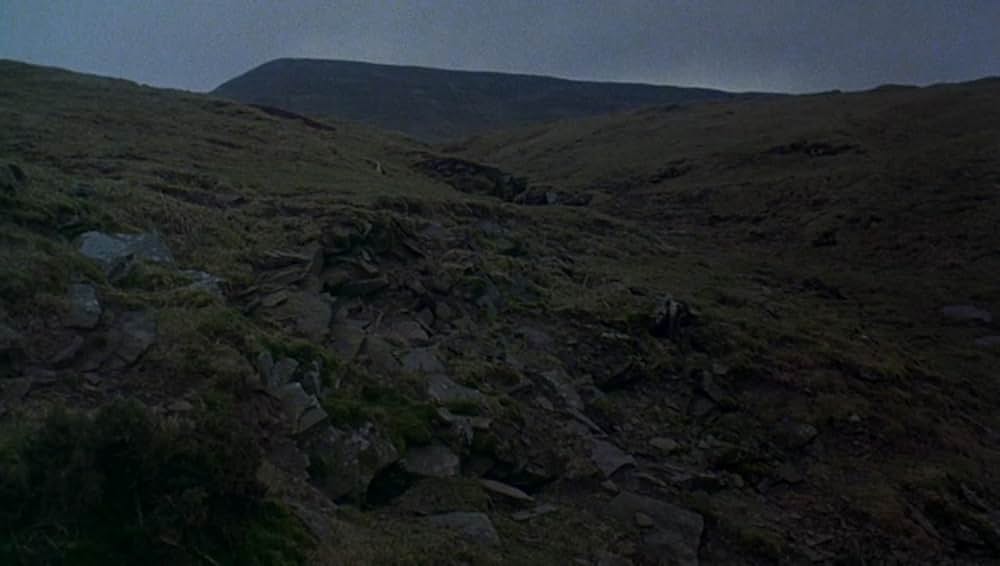 狼男アメリカンの画像