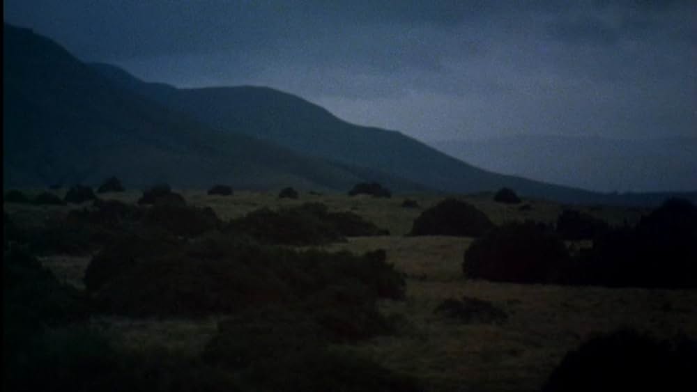 狼男アメリカンの画像