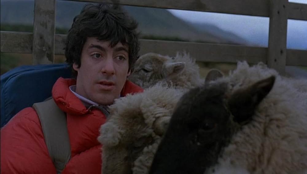 狼男アメリカンの画像