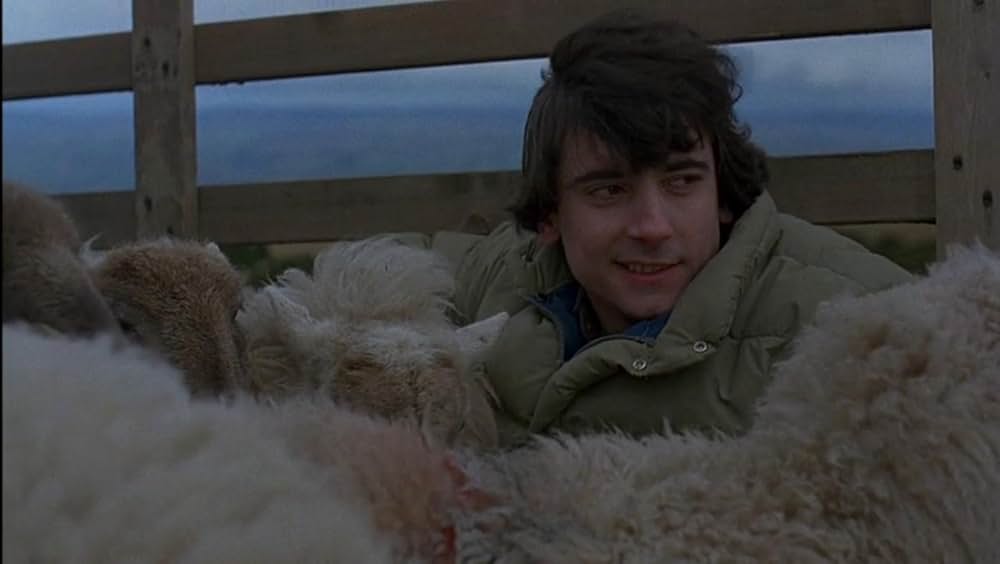 狼男アメリカンの画像