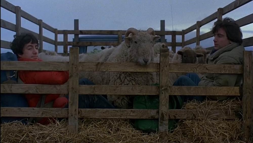 狼男アメリカンの画像