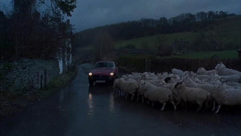 狼男アメリカンの画像