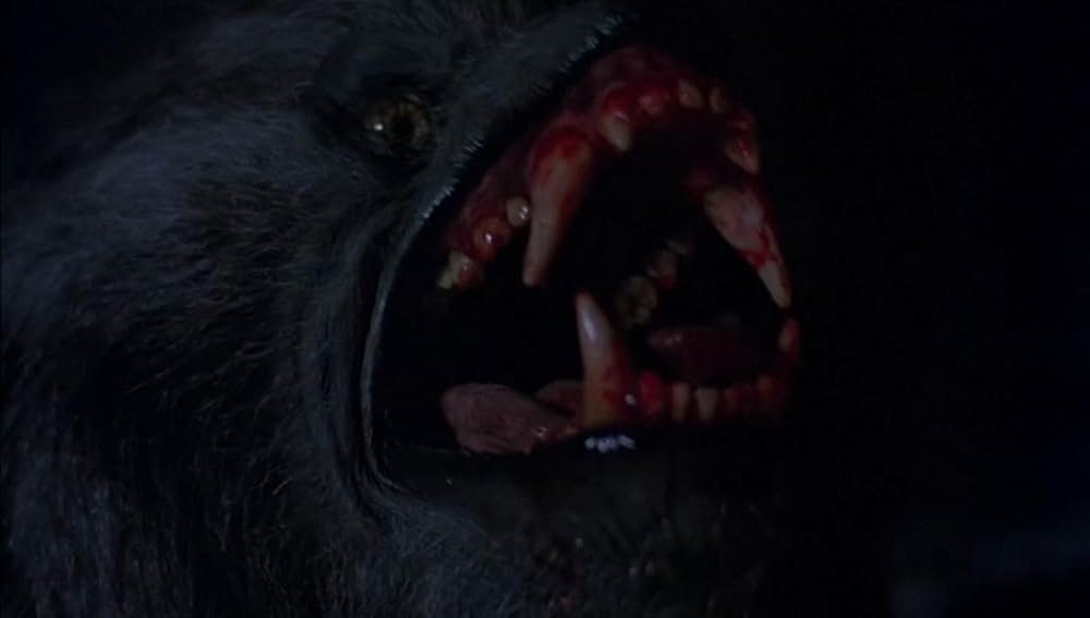 狼男アメリカンの画像