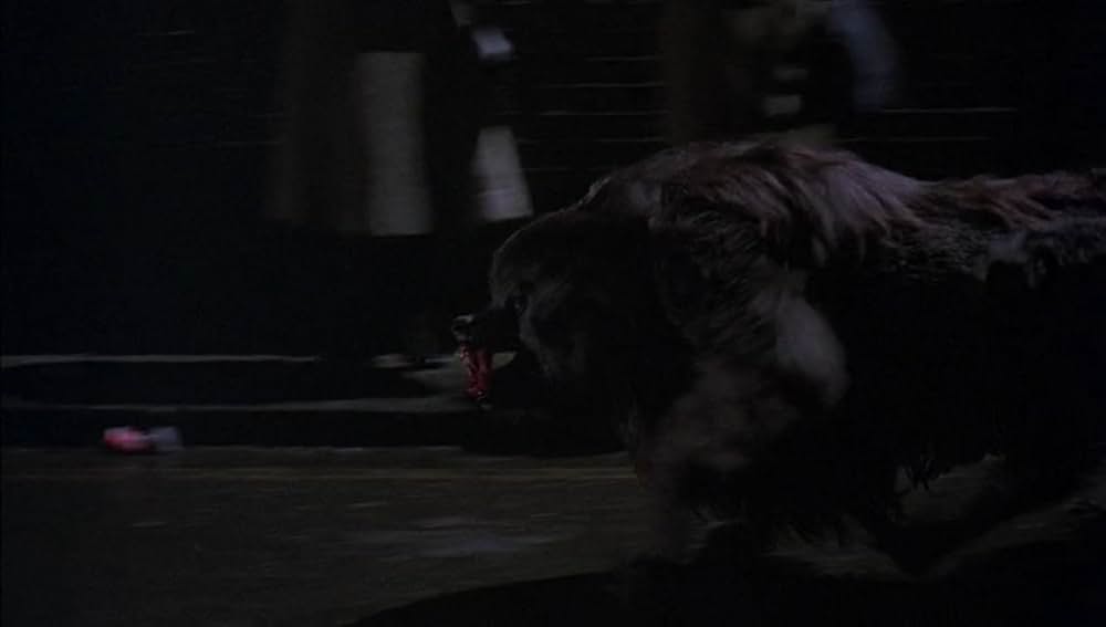 狼男アメリカンの画像