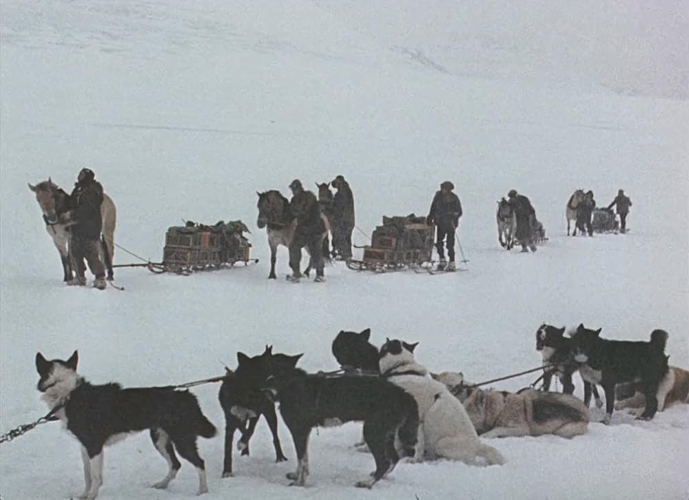 南極のスコットの画像