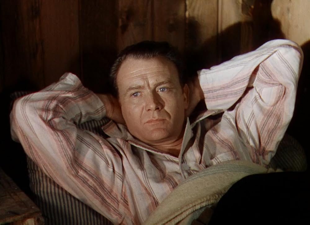 南極のスコットの画像