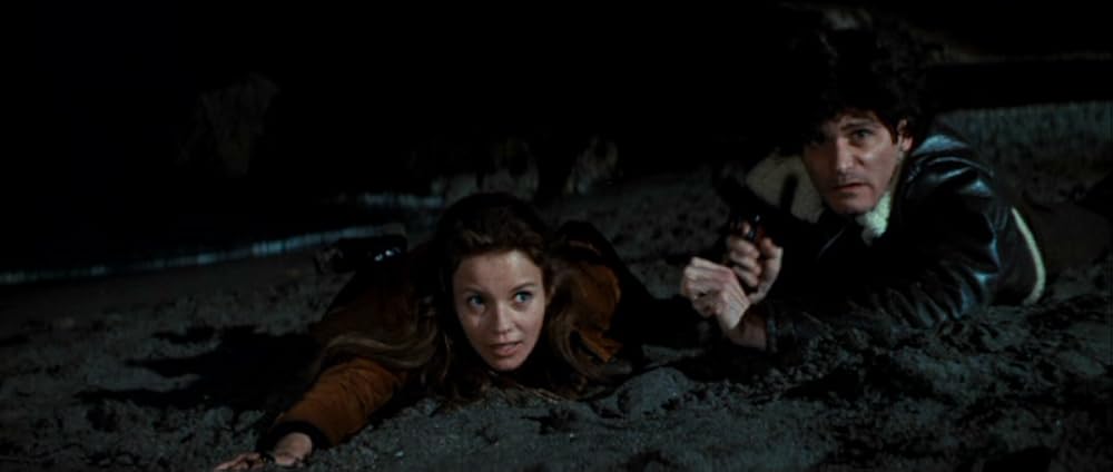 ラスト・ラン／殺しの一匹狼の画像