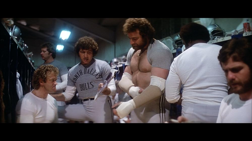 ノース・ダラス40の画像