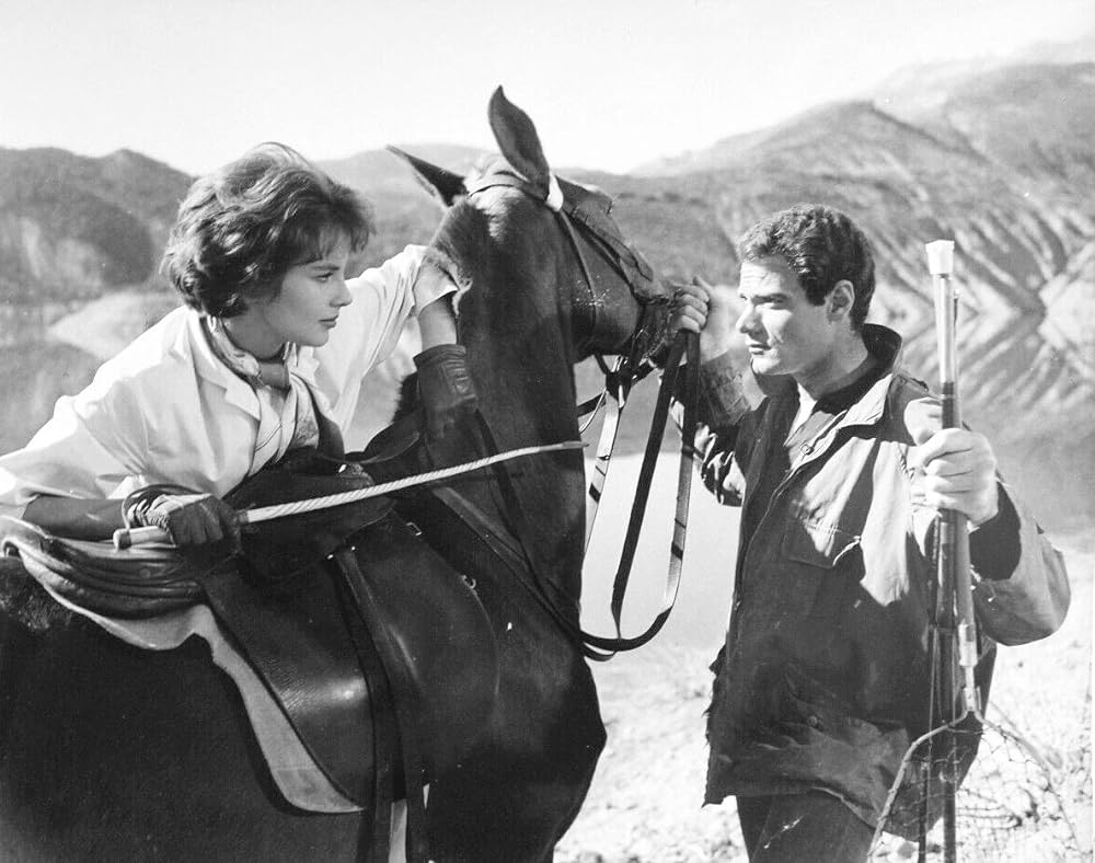 墓にツバをかけろの画像