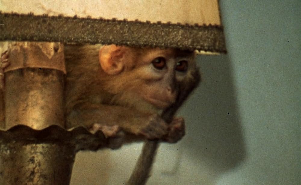 オーソン・ウェルズの フェイクの画像