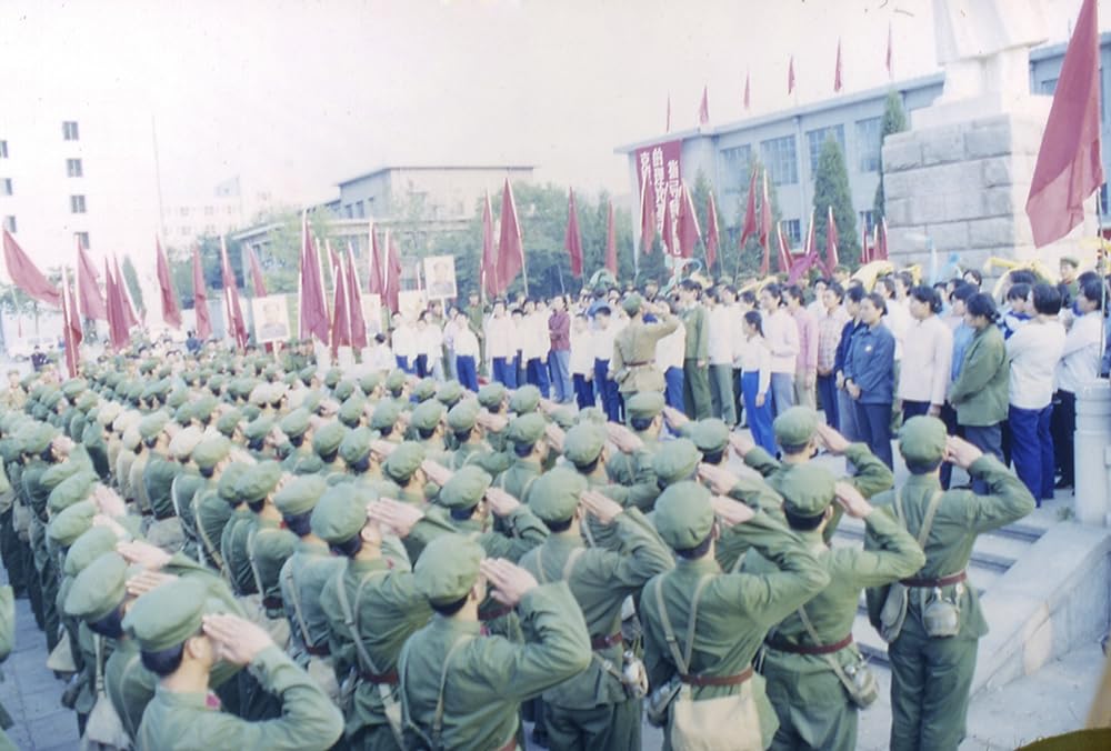 太陽の少年の画像