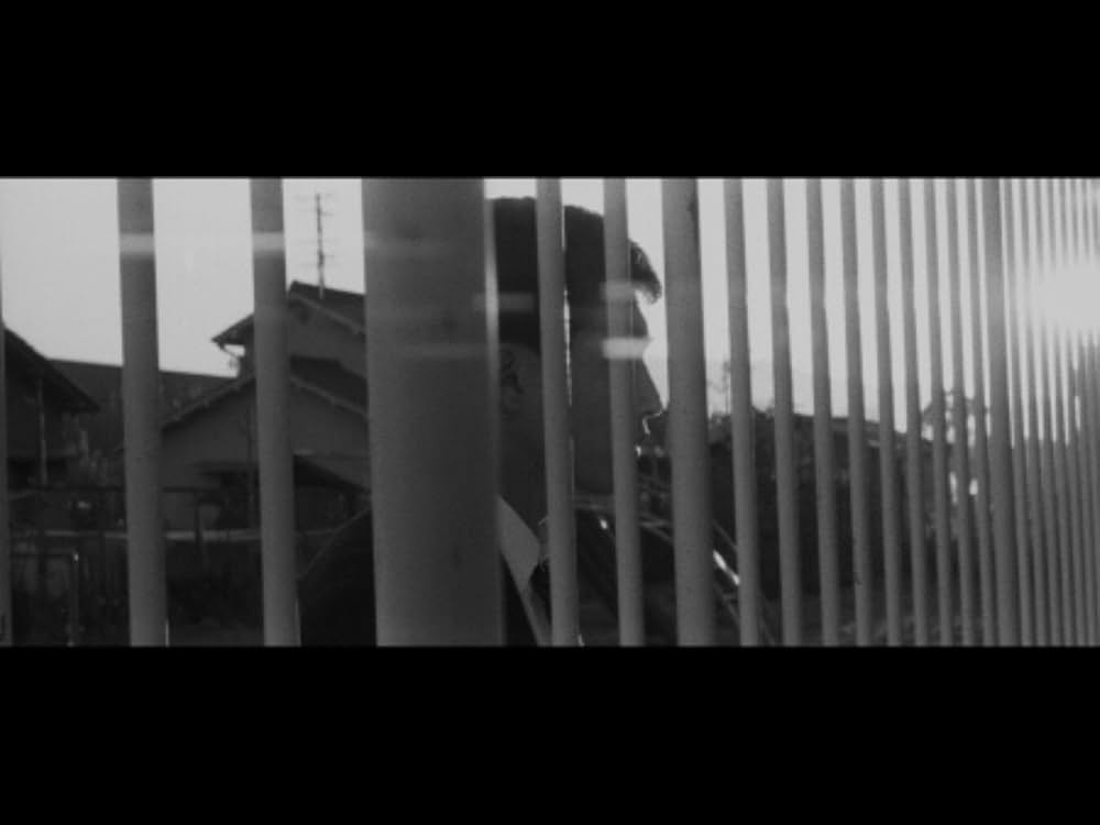 水で書かれた物語の画像