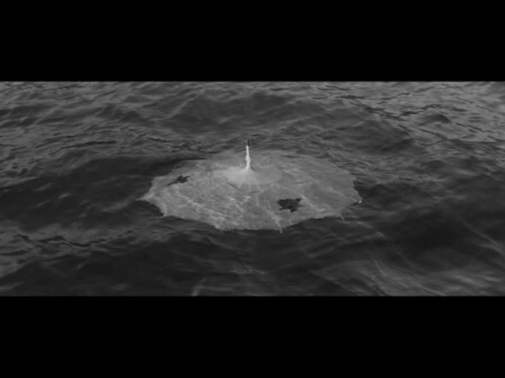 水で書かれた物語の画像