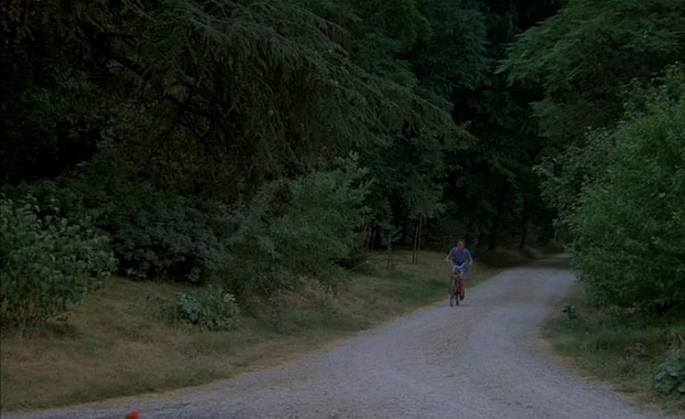 五月のミルの画像