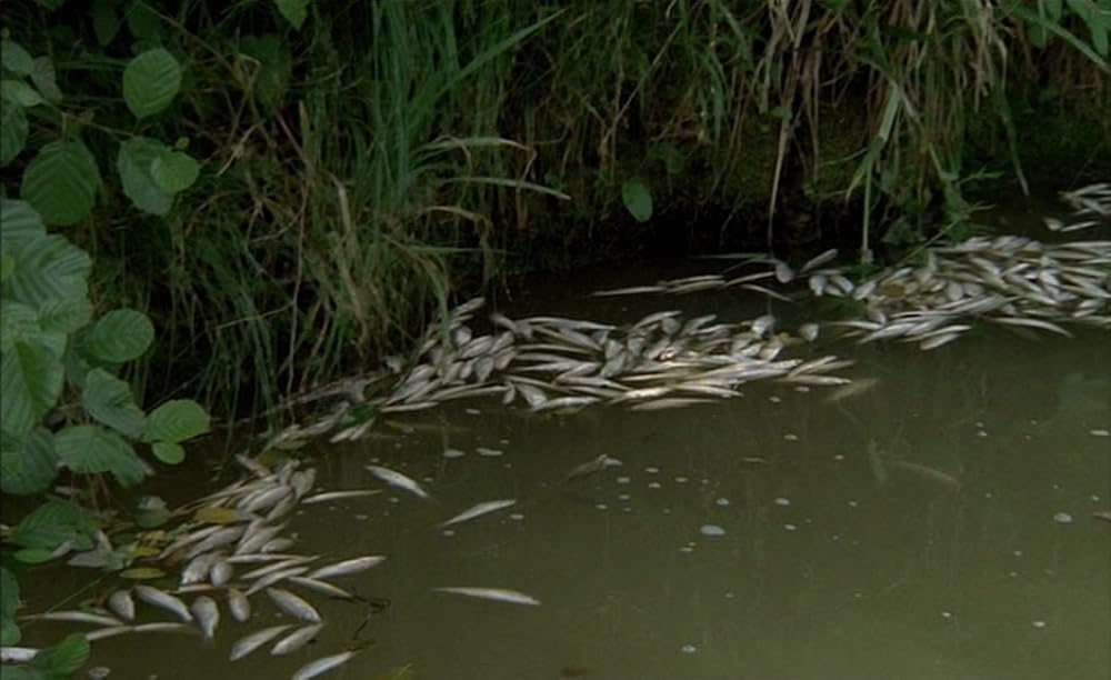 五月のミルの画像