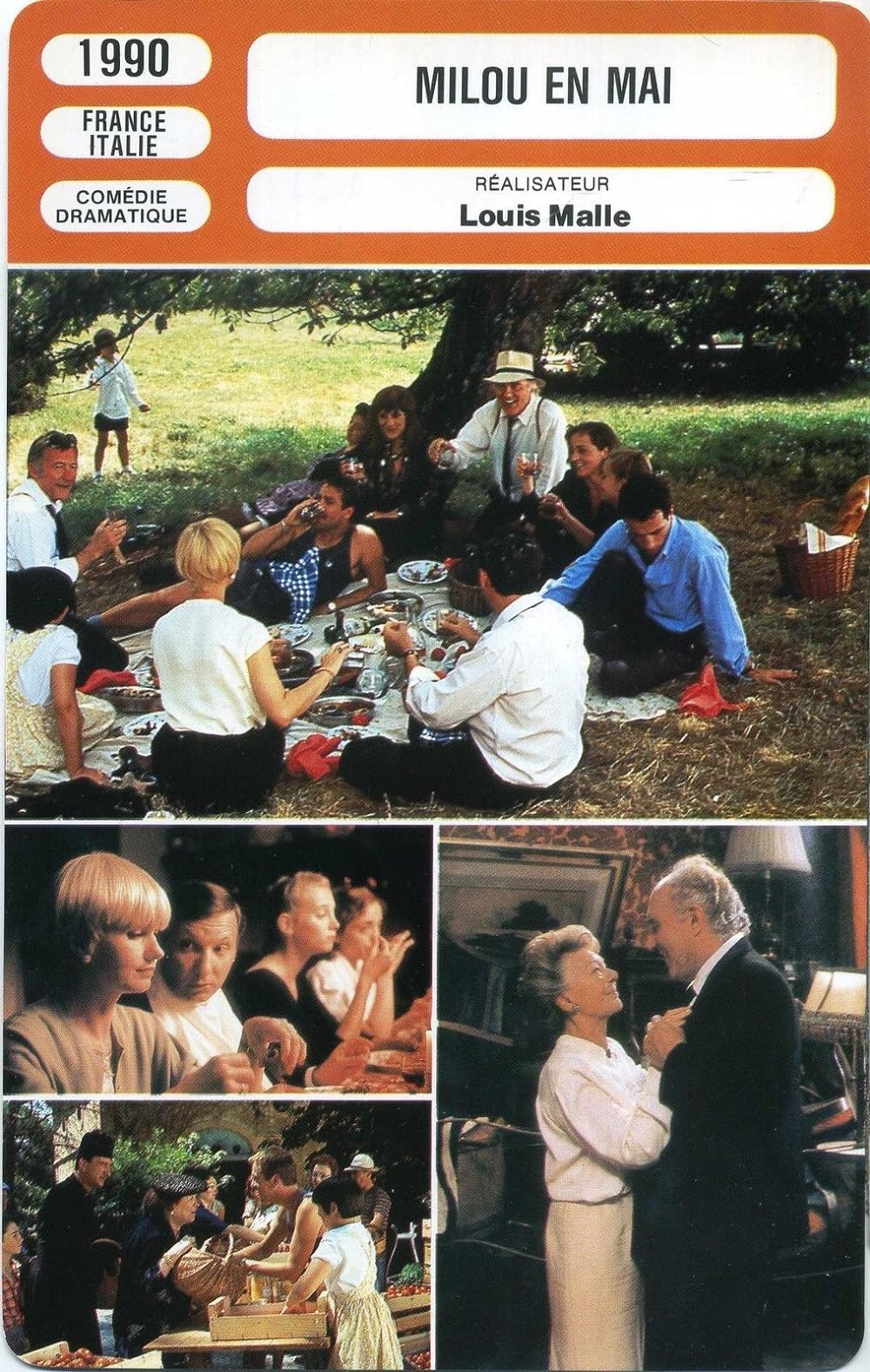 五月のミルの画像