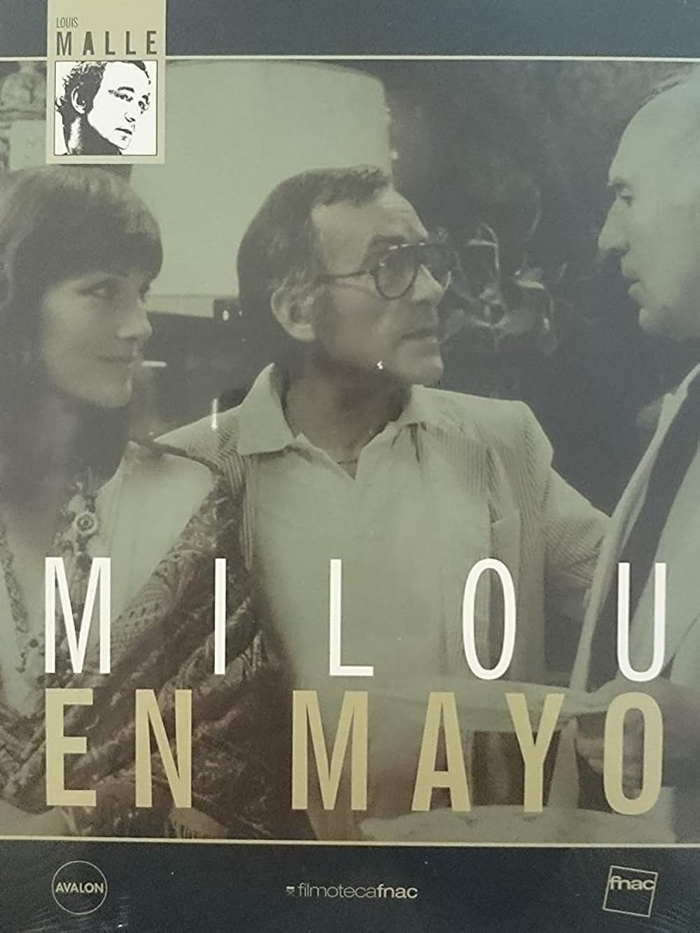 五月のミルの画像