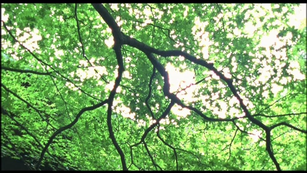 実録・安藤昇侠道（アウトロー）伝 烈火の画像