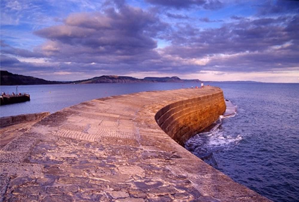 フランス軍中尉の女の画像