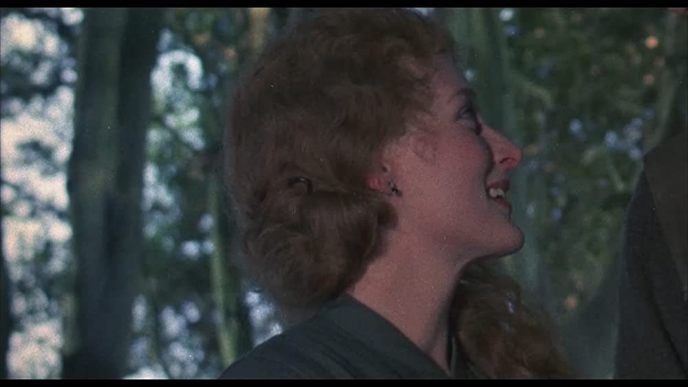 フランス軍中尉の女の画像