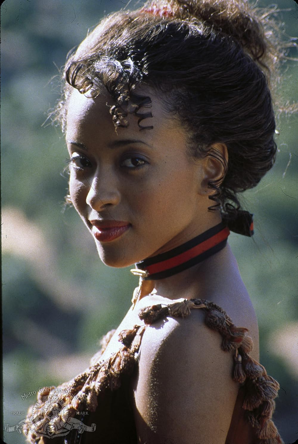 黒豹のバラードの画像