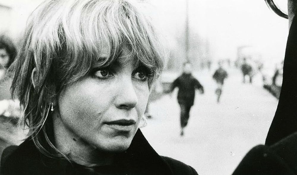 サラマンドルの画像