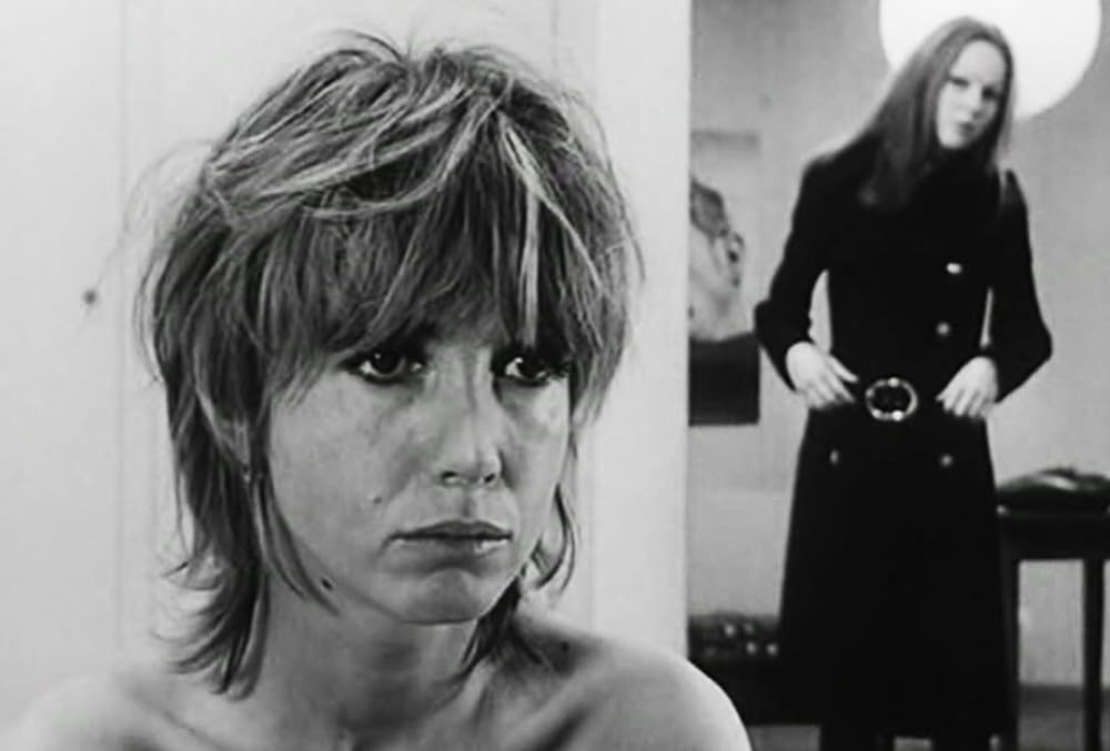 サラマンドルの画像