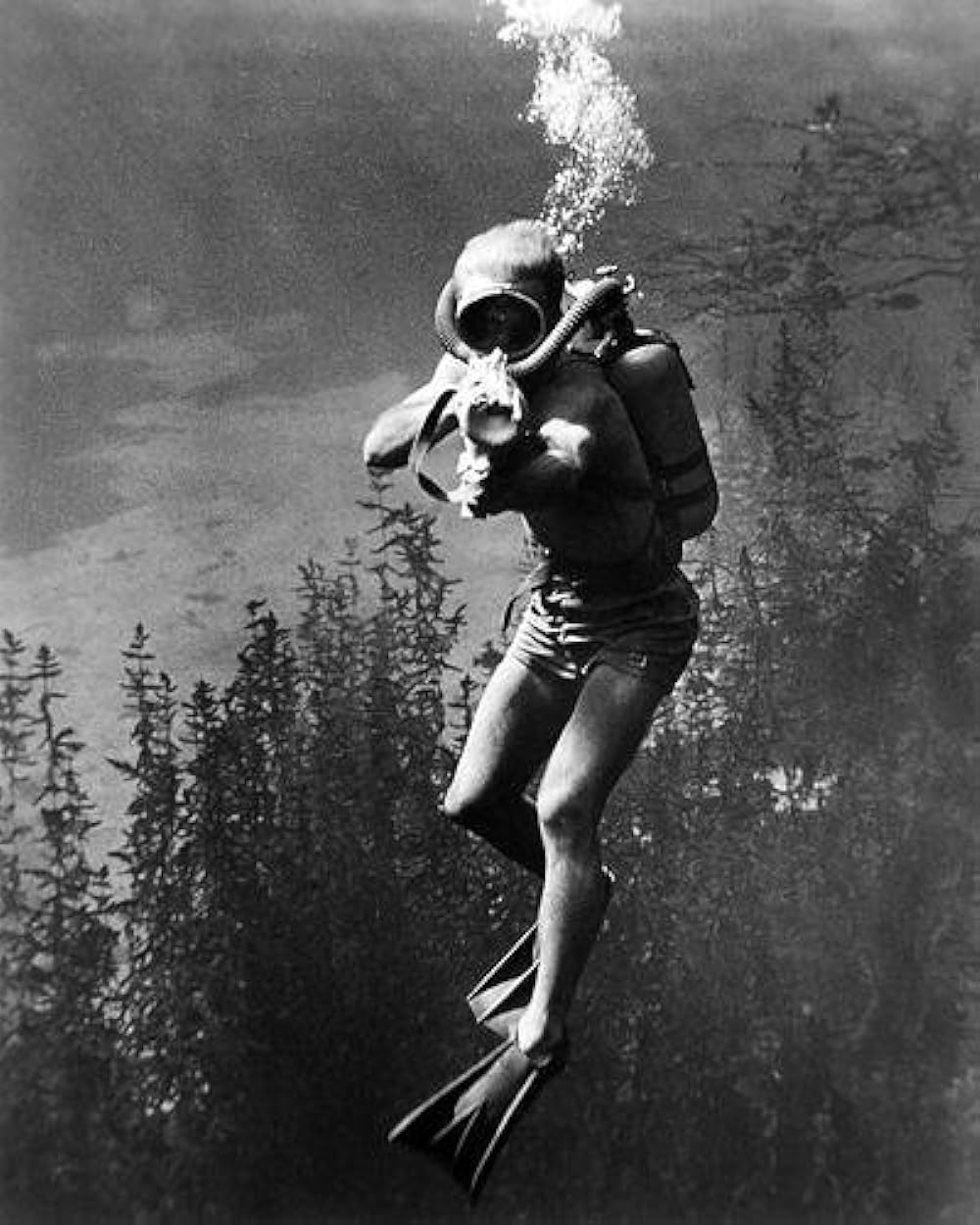 半魚人の逆襲の画像