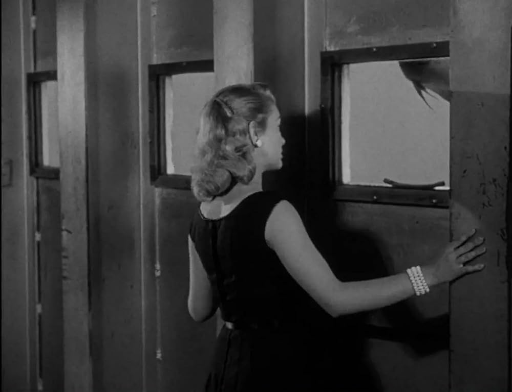 半魚人の逆襲の画像