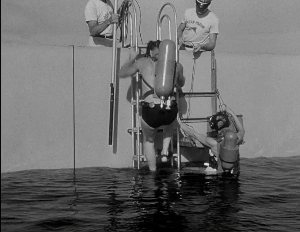 半魚人の逆襲の画像