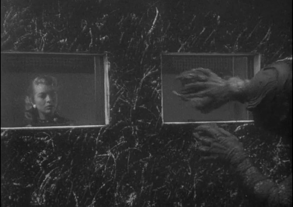 半魚人の逆襲の画像