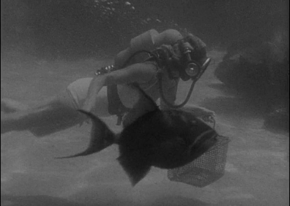 半魚人の逆襲の画像