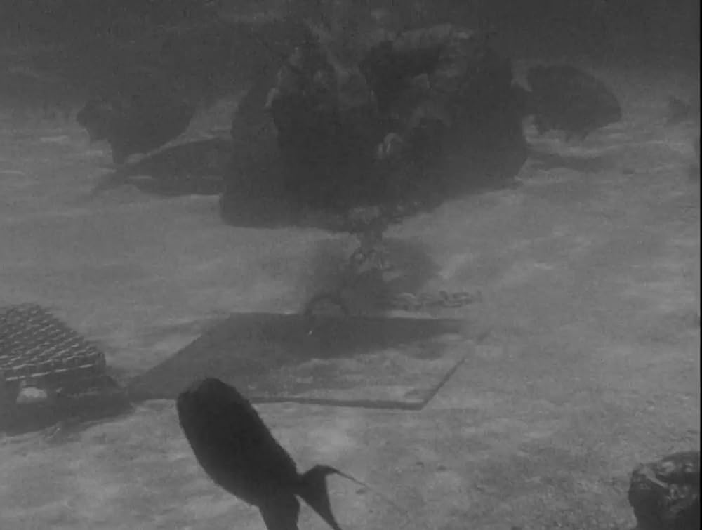 半魚人の逆襲の画像