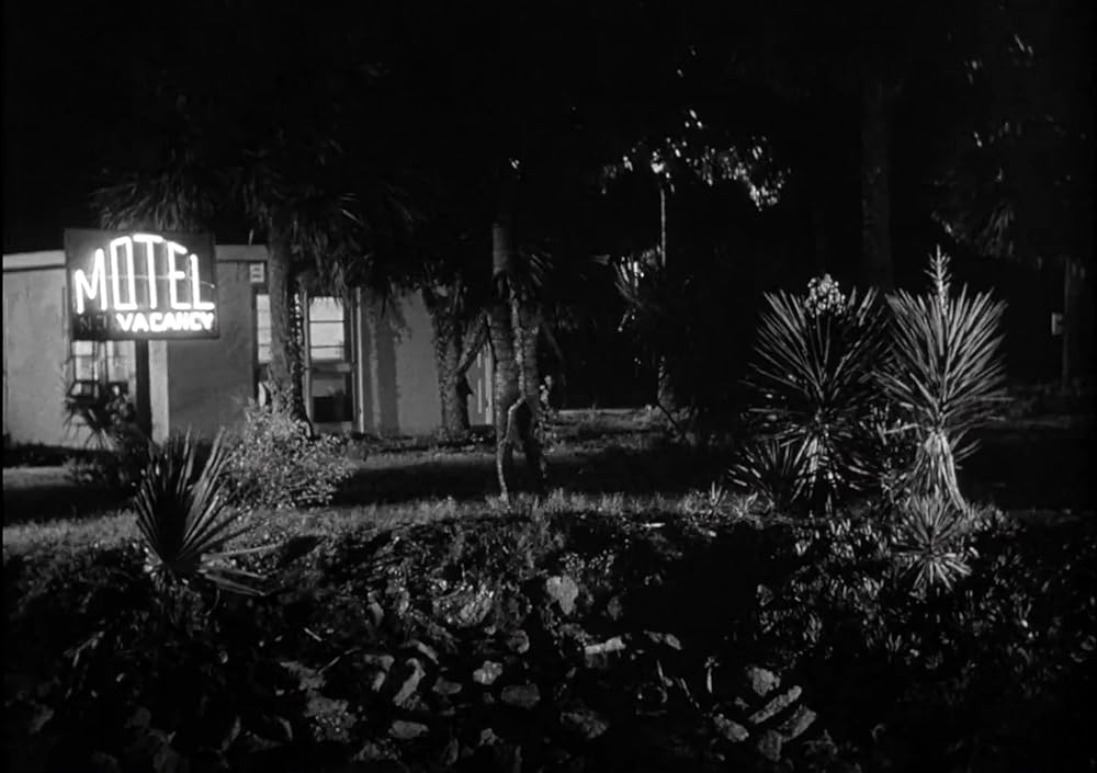 半魚人の逆襲の画像