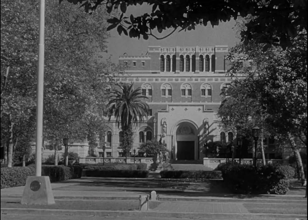 半魚人の逆襲の画像