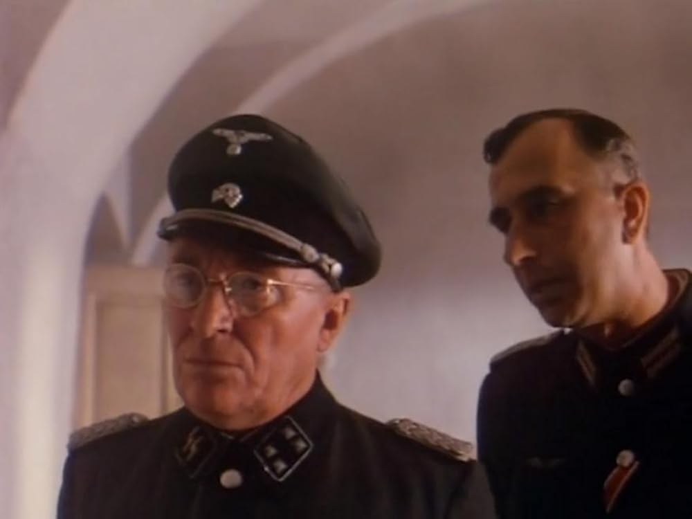 ホワイト・ローズの画像