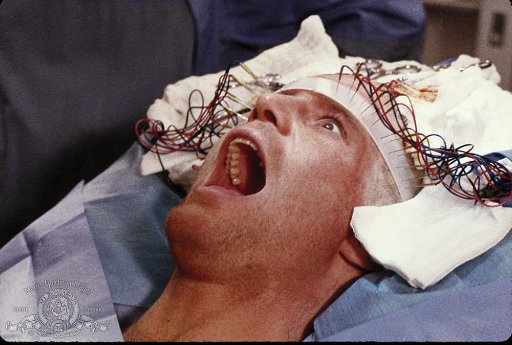 モンキー・シャインの画像