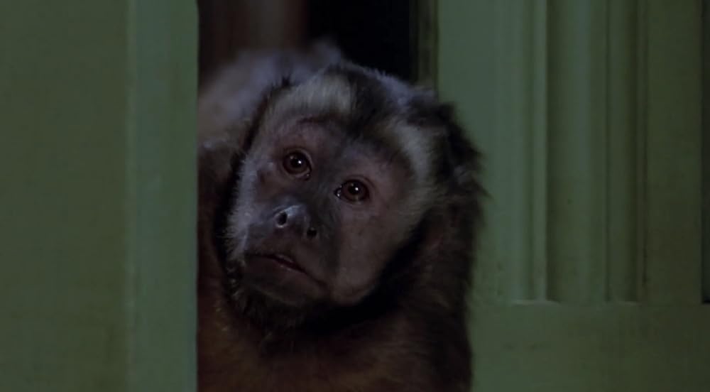 モンキー・シャインの画像