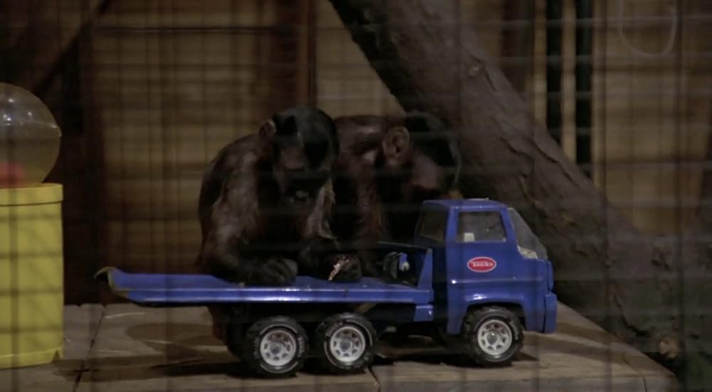 モンキー・シャインの画像