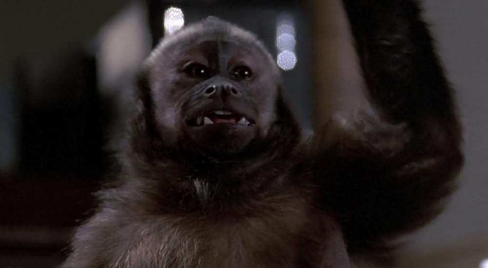 モンキー・シャインの画像