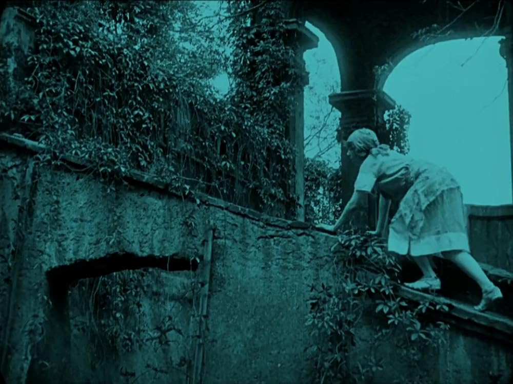 プラーグの大学生の画像