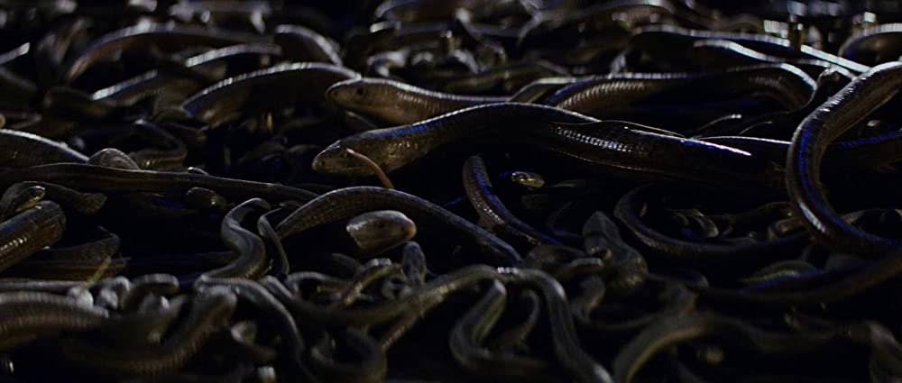 レイダース 失われたアーク《聖櫃》4DXの画像