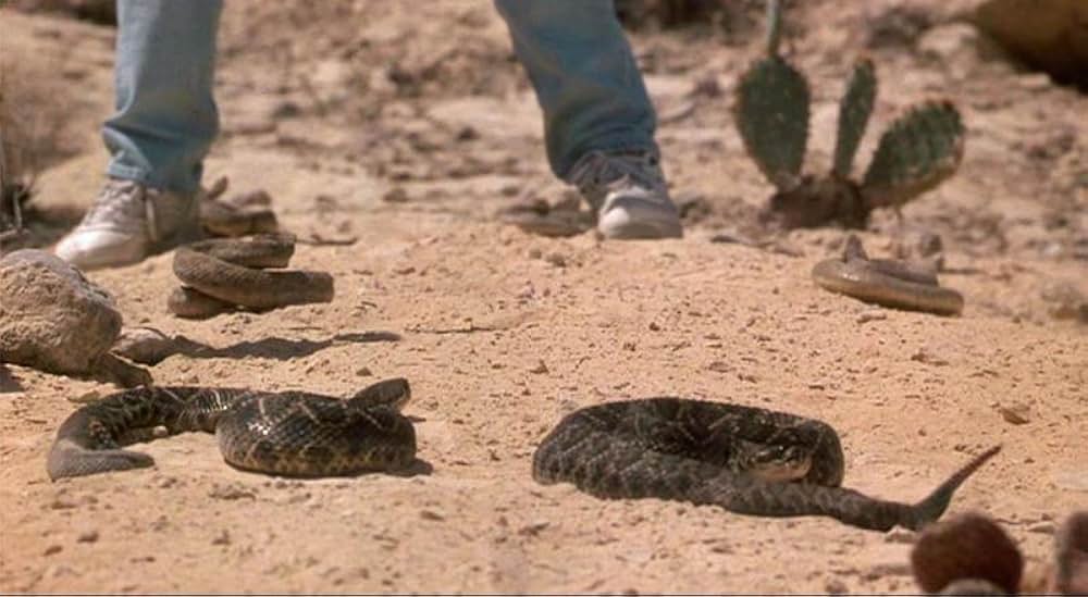 愛さずにはいられないの画像