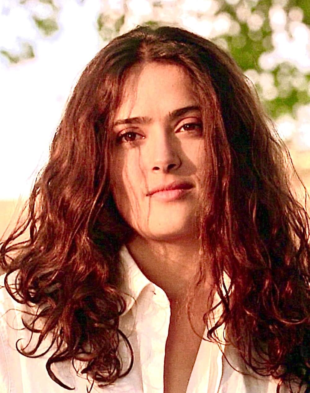 愛さずにはいられないの画像