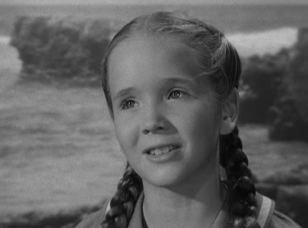 センチメンタル・ジャーニーの画像