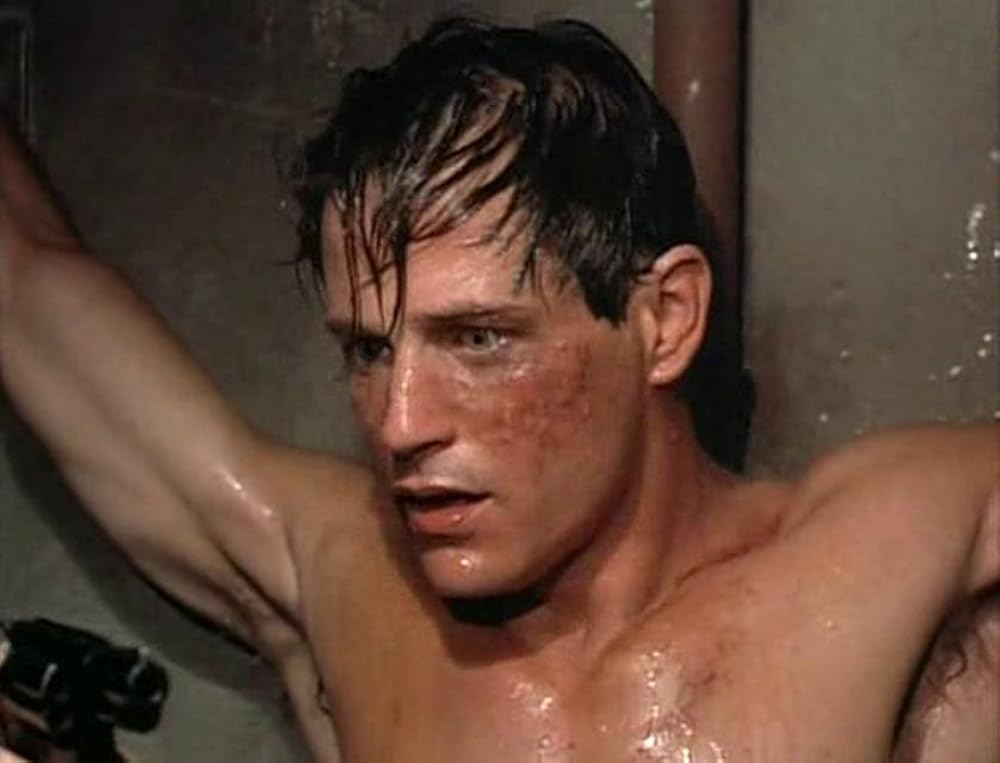 ネイビー・フォース ~テロリスト壊滅作戦~の画像