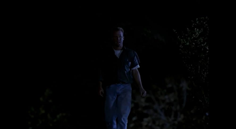 ファイナルフォースの画像