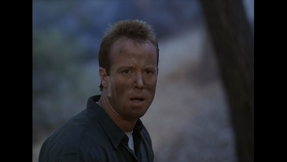 ファイナルフォースの画像