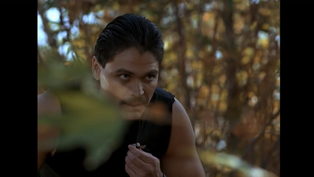 ファイナルフォースの画像